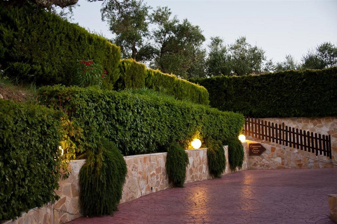 Hotel St.John Suites Adults Only Tsilivi  Bagian luar foto